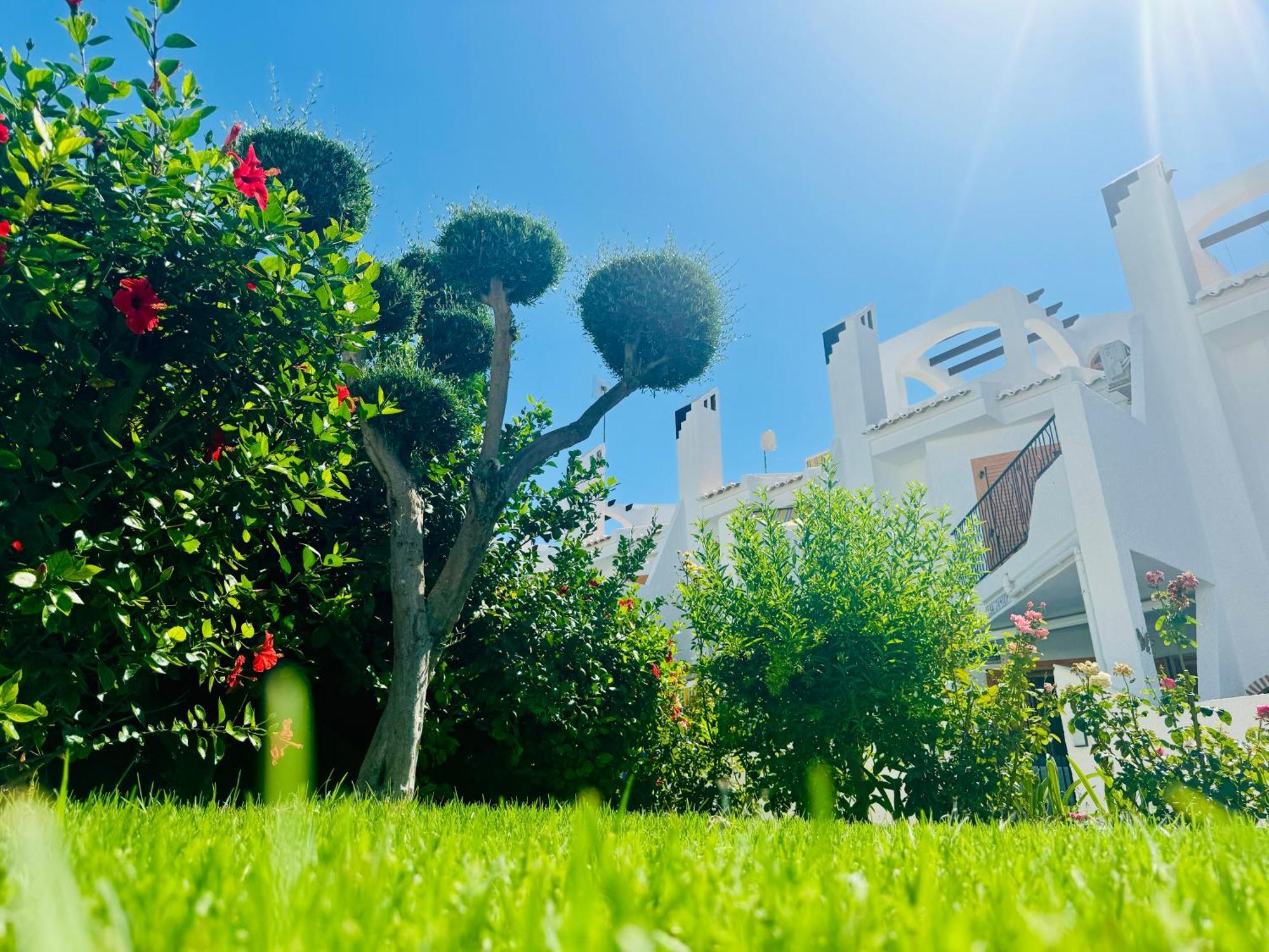 Willa Contemporary House In Cabo Roig Orihuela Zewnętrze zdjęcie